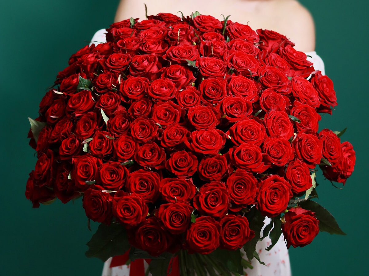 Elegantes Rote Rosen 3688 Ebenbild