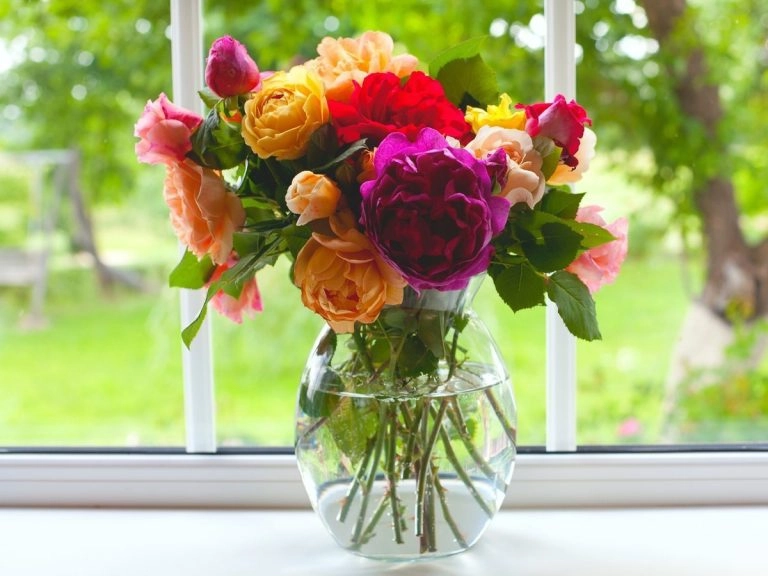 Die Rosen in der Vase stehen auf dem Fensterbrett