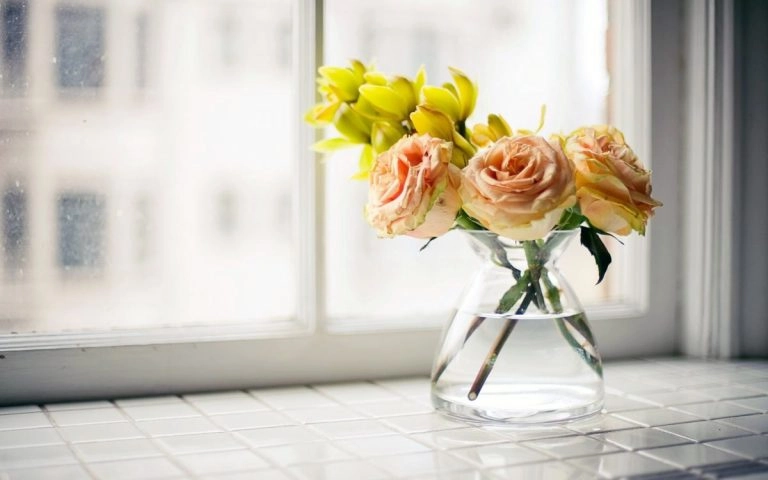Die Vase für die Rosen ist zu 3/4 mit Wasser gefüllt
