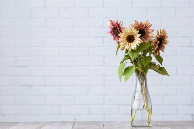 Katzensichere Schnittblumen: Sonnenblumen Katzensicherer Strauß mit Sonnenblumen in einer Vase