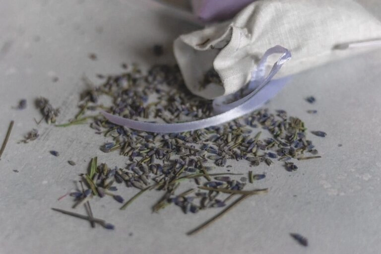 Duftsäckchen mit getrocknetem Lavendel richtig befüllen und binden Getrocknete Lavendelblüten neben einem Leinensäckchen: der Name Lavendel stammt vom lateinischen lavare für waschen