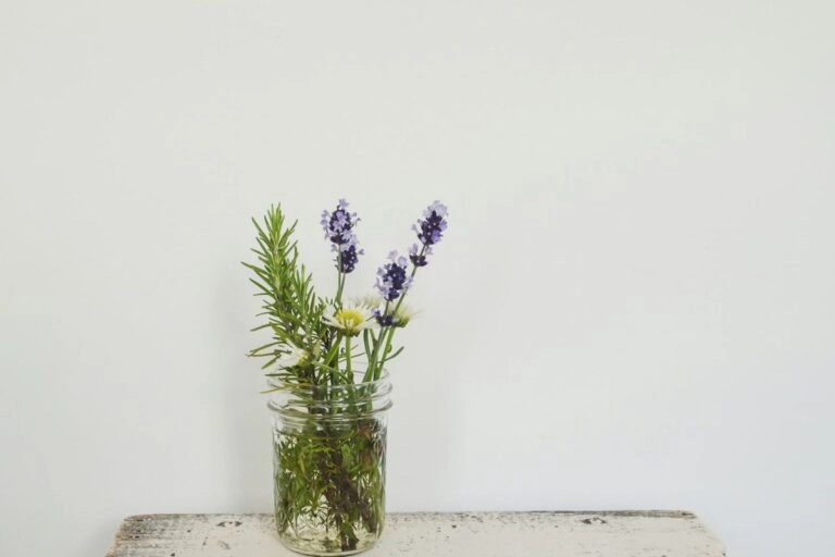 Lavendel zusammen mit anderen Sommerblumen und Kräutern in einem schlanken Glas, die Höhen im Strauß gestaffelt
