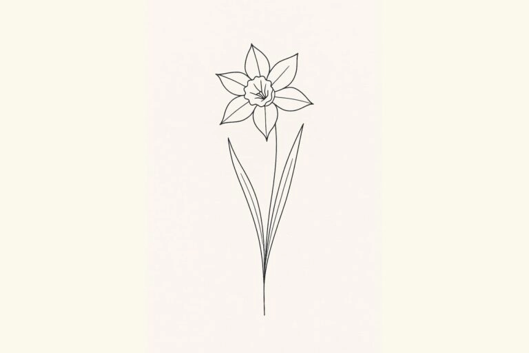 Feine Narzissen-Illustration (Tattoo-Motiv) Feine Illustration einer Narzisse als Symbol für Erneuerung und die Geburtsblume März