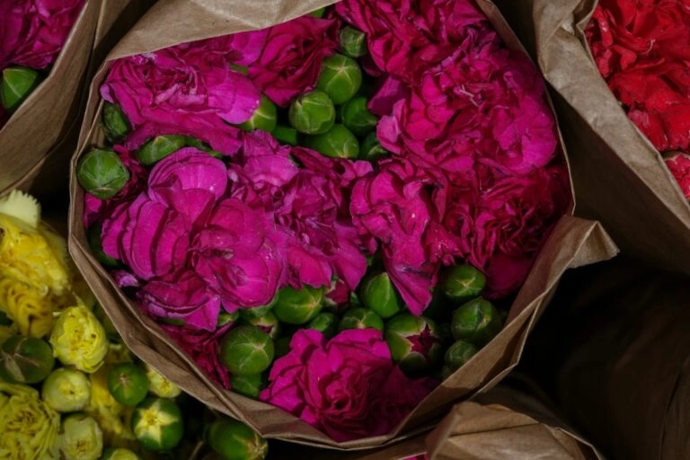 Gebündelte Nelken in Packpapier, wie sie in den Handel kommen: geöffnete pinkfarbene Blüten zwischen grünen Knospen