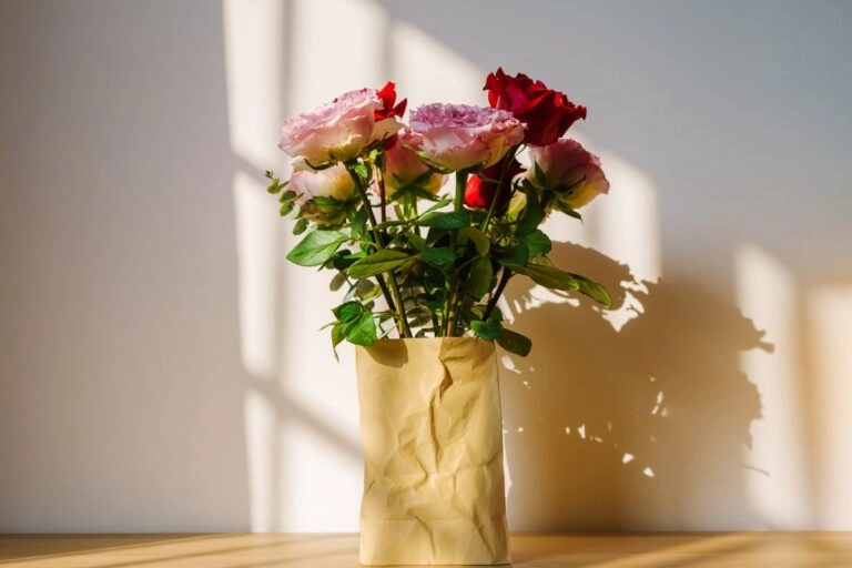 Rosen in der Vase Frische Schnittrosen in einer schlichten Vase: halb geöffnete Blüten im Tageslicht am Fenster