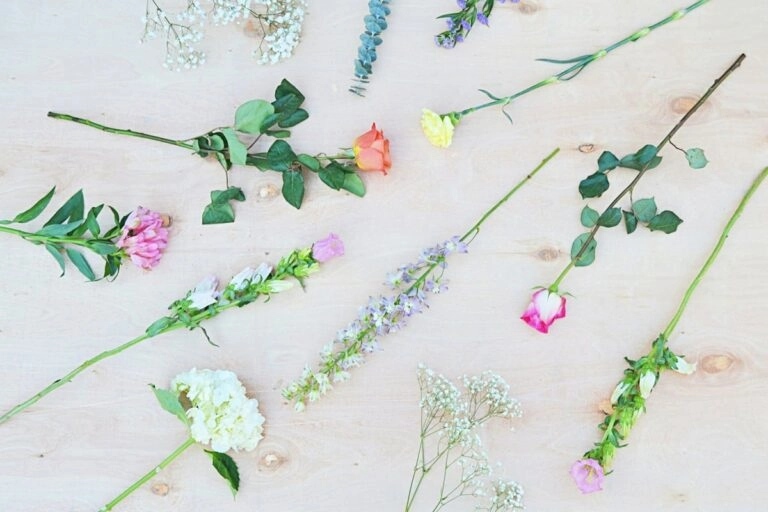 Verschiedene Schnittblumen einzeln nebeneinander gelegt: So unterschiedlich sind die Blumen der zwölf Geburtsmonate